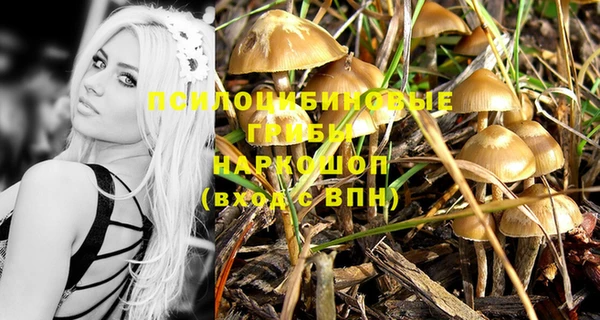 героин Белокуриха