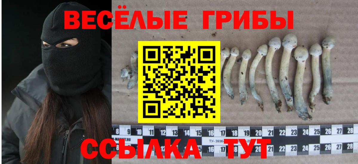 Галлюциногенные грибы MAGIC MUSHROOMS  Галлюциногенные грибы Psilocybe  Пыть-Ях  Вход с VPN 